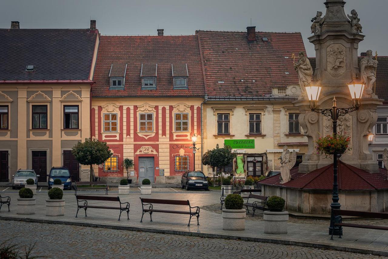 Penzion Oloffson Počátky Dış mekan fotoğraf